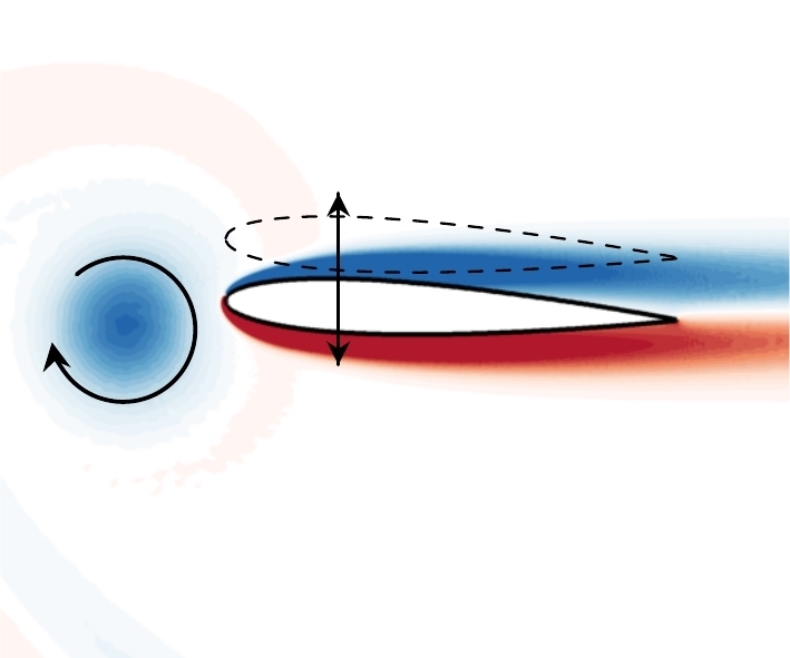 vortex hitting an airfoil
